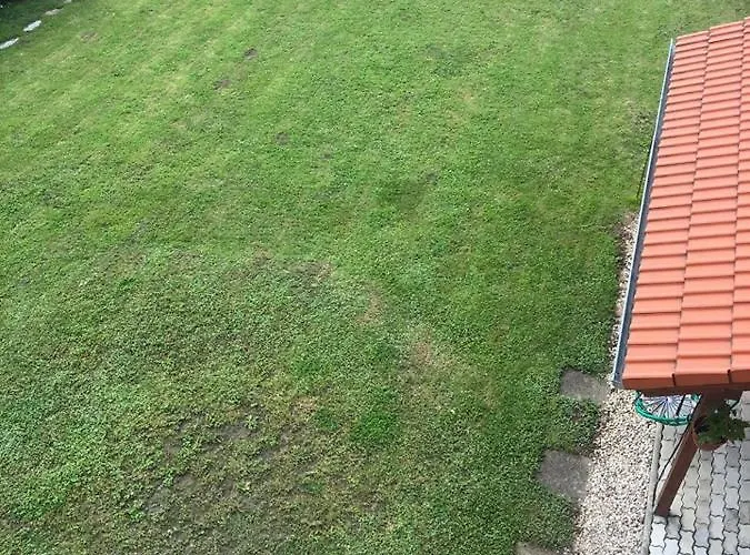 Ladislav * Spisske Vlachy